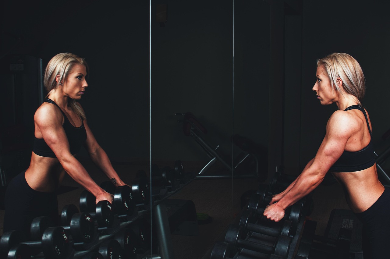 Umbragym Fitness Club collection